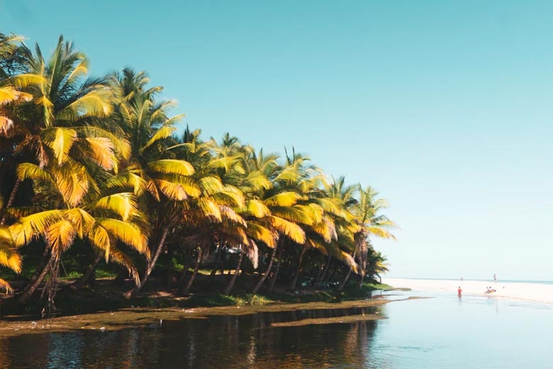 jamaica-image